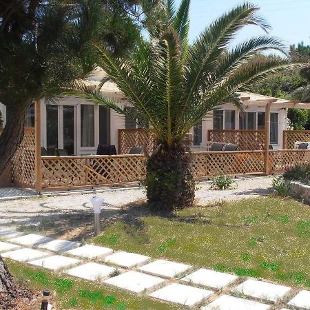 Elli Beach Apartments And Studios Almiros Beach ภายนอก รูปภาพ