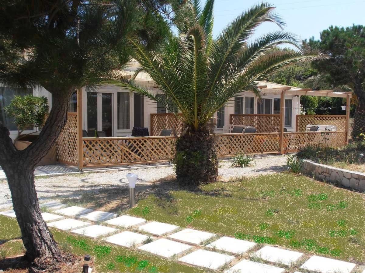 Elli Beach Apartments And Studios Almiros Beach ภายนอก รูปภาพ
