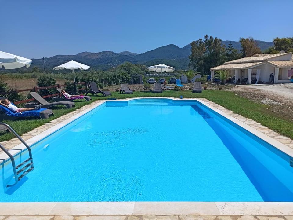 Elli Beach Apartments And Studios Almiros Beach ภายนอก รูปภาพ